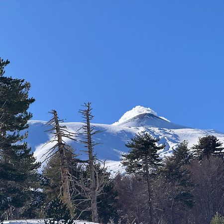Agriturismo Sole Di Sicilia 란다조 외부 사진