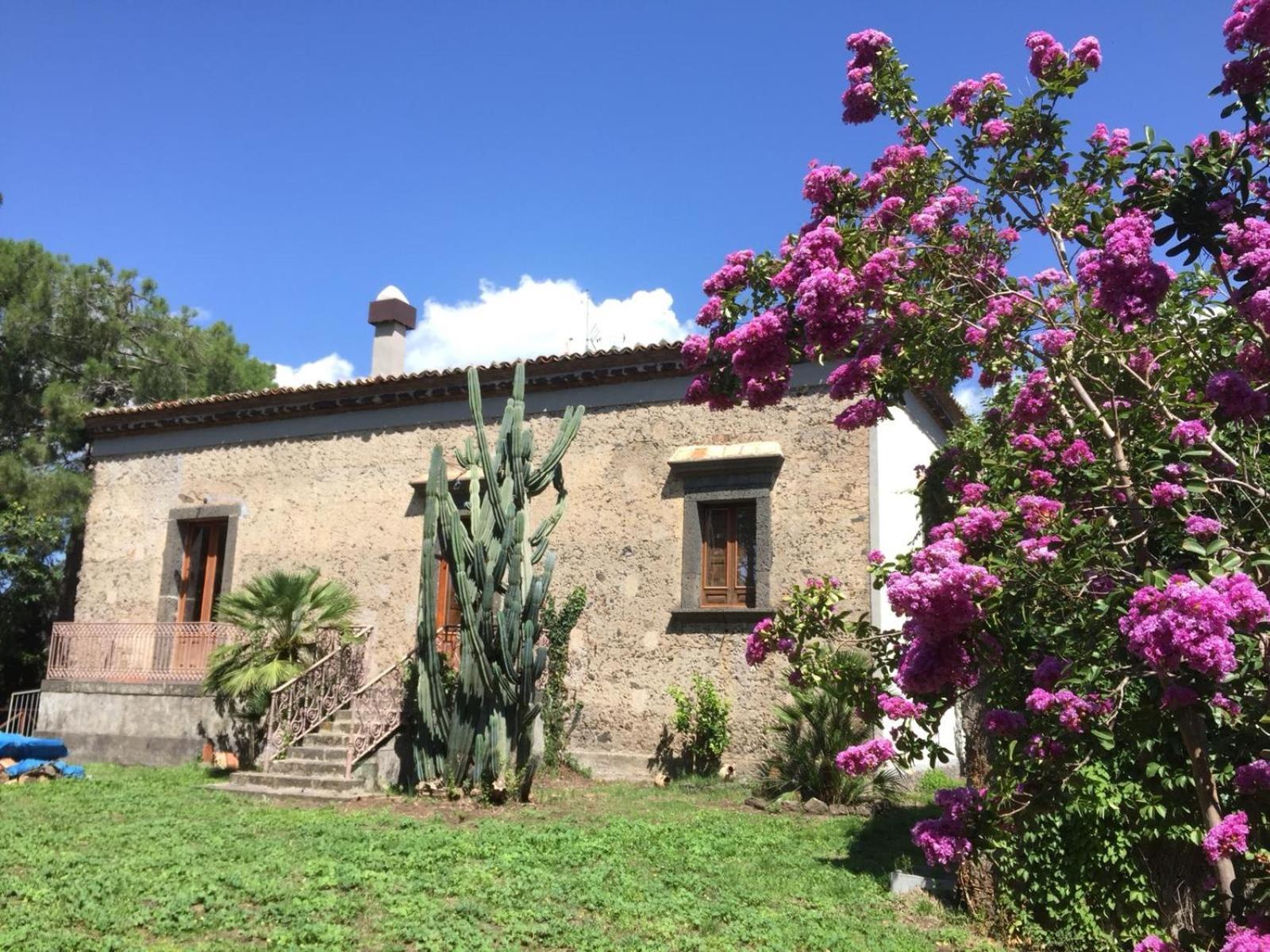 Agriturismo Sole Di Sicilia 란다조 외부 사진